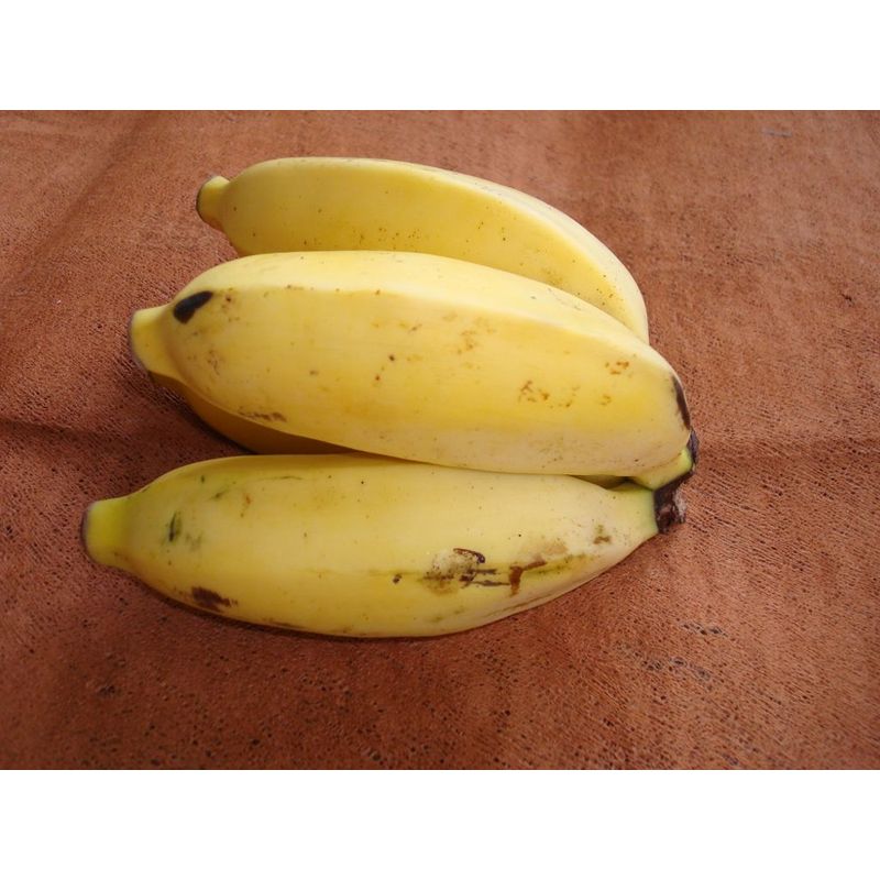 Kipepeo Apfel-Banane frisch Uganda - Produktbild