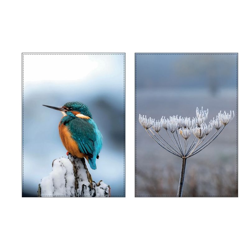 LIVING CRAFTS Küchenhandtuch 1400, 2er Pack, bird/frozen plant, 50X70 cm - Produktbild