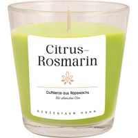 Rapswachskerze im Glas, Citrus-Rosmarin - Produktbild