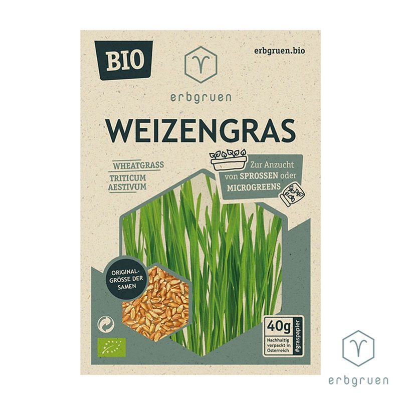 erbgruen Weizengras - BIO Microgreens/Sprossen Samen, 40g - Produktbild