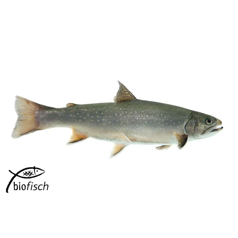 Biofisch  Saibling, ganz, küchenfertig (salvelinus spp.) - Produktbild