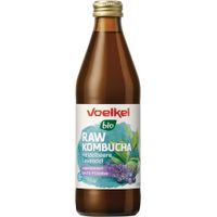 RAW Kombucha Heidelbeere Lavendel, kühlpflichtig - Produktbild