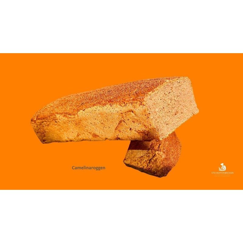 Steinofenbäcker Camelina Roggenmisch - Produktbild