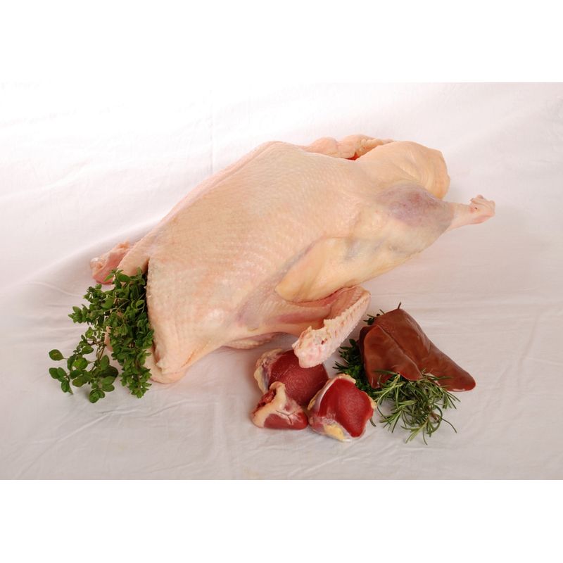 Sonnberg BIO Weidegans - Produktbild