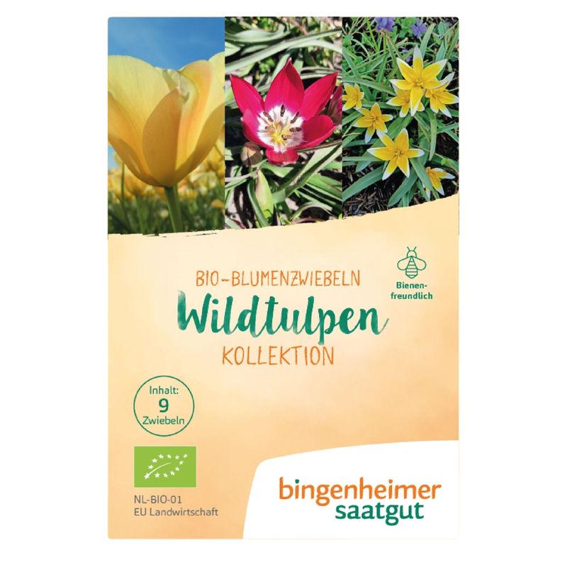 Bingenheimer Saatgut Wildtulpen Kollektion - Blumenzwiebeln (Steckgut) - Produktbild