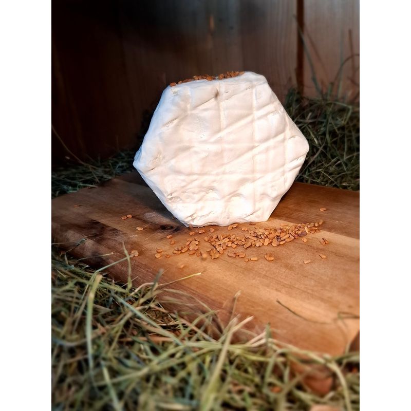 Biohof Prinz  Cambär (Weichkäse mit Bärlauch-Mix affiniert) - Produktbild