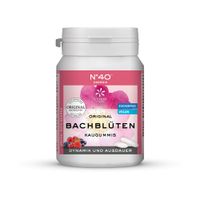 N° 40 Original Bachblüten Kaugummi Energie - Produktbild