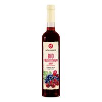 Bio Früchtetraum Sirup 0,5l Glasfl. - Produktbild