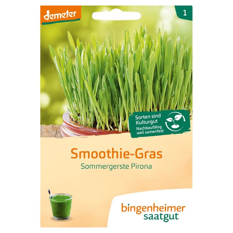 Bingenheimer Saatgut Smoothie-Gras Sommergerste Pirona (Saatgut) - Produktbild