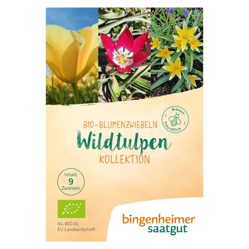 Bingenheimer Saatgut Wildtulpen Kollektion - Blumenzwiebeln (Steckgut) - Produktbild