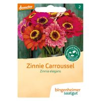 Zinnie 'Carroussel' - Produktbild