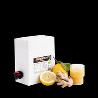 Bio Ingwer Shot Bag-in-Box - Produktbild