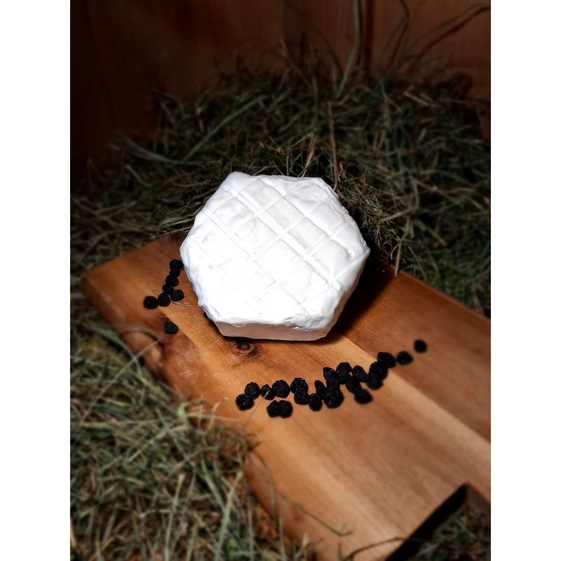 Biohof Prinz  Camör - Camembert mir Karotte - Produktbild