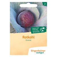 Rotkohl Granat - Produktbild
