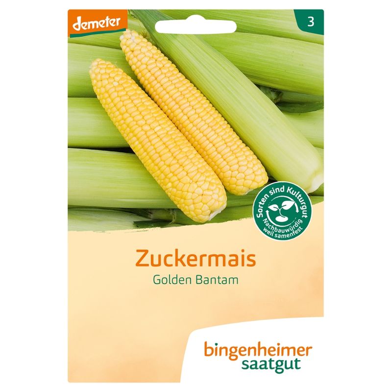 Bingenheimer Saatgut Golden Bantam - Zuckermais (Saatgut) - Produktbild