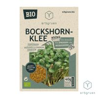 Bockshornklee - BIO Microgreens/Sprossen Samen - Produktbild