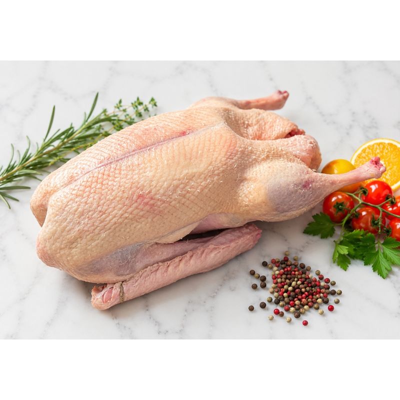 Juffinger Bio-Metzgerei BIO-Weidegans i.G. - Produktbild