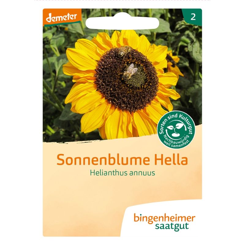 Bingenheimer Saatgut Sonnenblume Hella - Blumen (Saatgut) - Produktbild