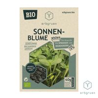 Sonnenblume - BIO Microgreens/Sprossen Samen - Produktbild
