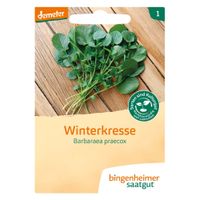 Winterkresse - Produktbild