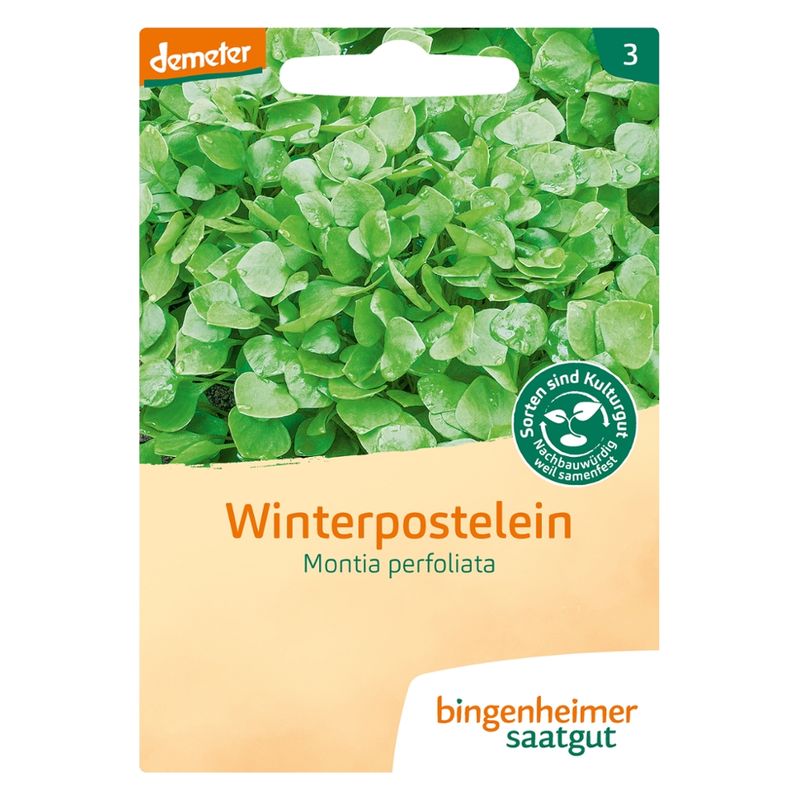 Bingenheimer Saatgut Winterpostelein - Winterpostelein (Saatgut) - Produktbild