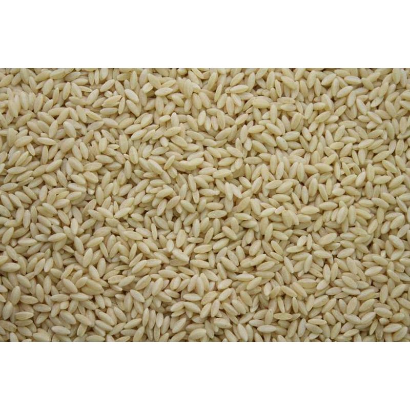 Bode Naturkost Risoni Nudeln in Reisform bio - Produktbild