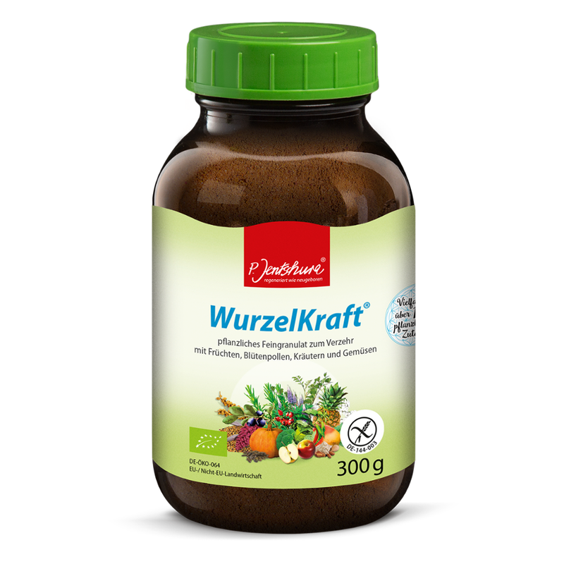 P. Jentschura P. Jentschura WurzelKraft BIO 300g - Produktbild