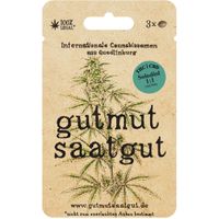 Cannabissamen (3Stk) - Solodiol 1:1 (Auto) - Produktbild