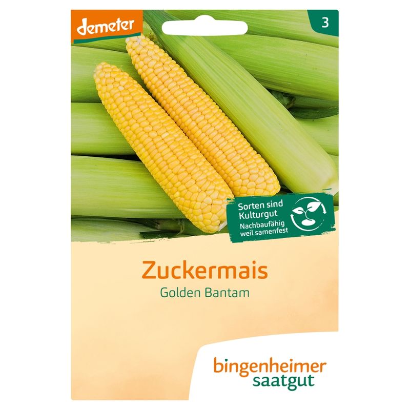 Bingenheimer Saatgut Golden Bantam - Zuckermais (Saatgut) - Produktbild