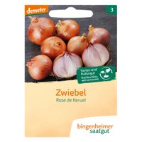 Zwiebel Rose de Keruel - Produktbild