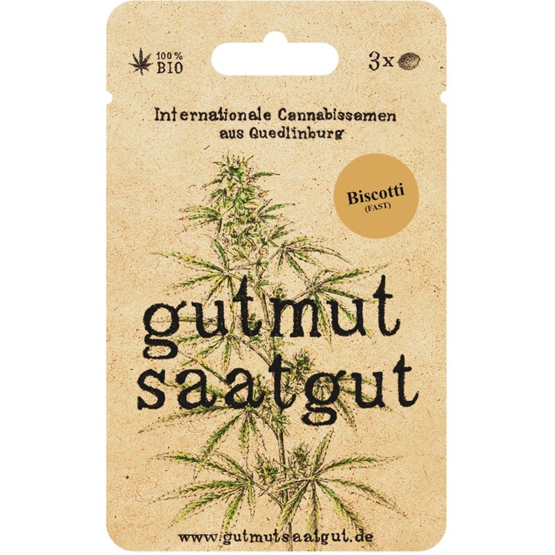 gutmut saatgut Cannabissamen (3Stk) - Biscotti (Fast): Biscotti (Fast) verwöhnt dich nach nur 7 Wochen mit sehr hohen Erträgen, Aprikose & Eiscreme und tief entspannenden Effekten. - Produktbild
