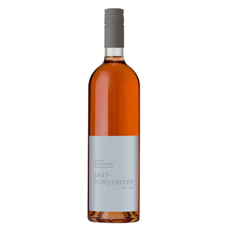 Ökoweine Haus am Goldberg Bio Rheinhessen Spätburgunder Rose trocken 0,75 L, Basic Linie - Produktbild