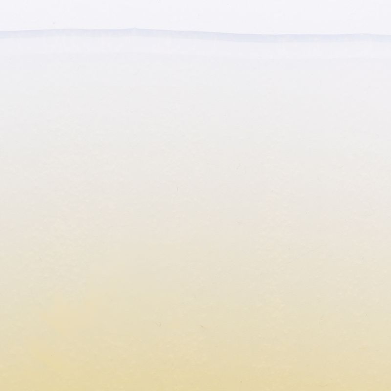 Do-It Bulk Sesamöl kaltgepresst kbA 5 ltr - Produktbild