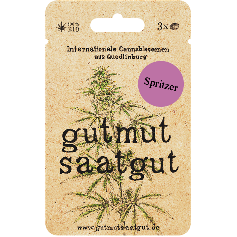 gutmut saatgut Cannabissamen (3Stk) - Spritzer: Spritzer ist eine ertragreiche Hybridsorte mit einem komplexen Aromenprofil aus Zitrus, Gas und Erde. Ihre aufheiternden und energisierenden Effekte machen sie ideal für aktive Tage. - Produktbild
