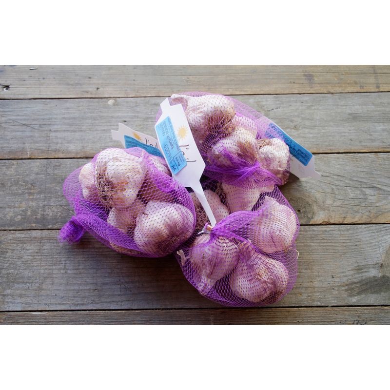 Bingenheimer Saatgut Flavor - Steckknoblauch (Pflanzgut) - Produktbild