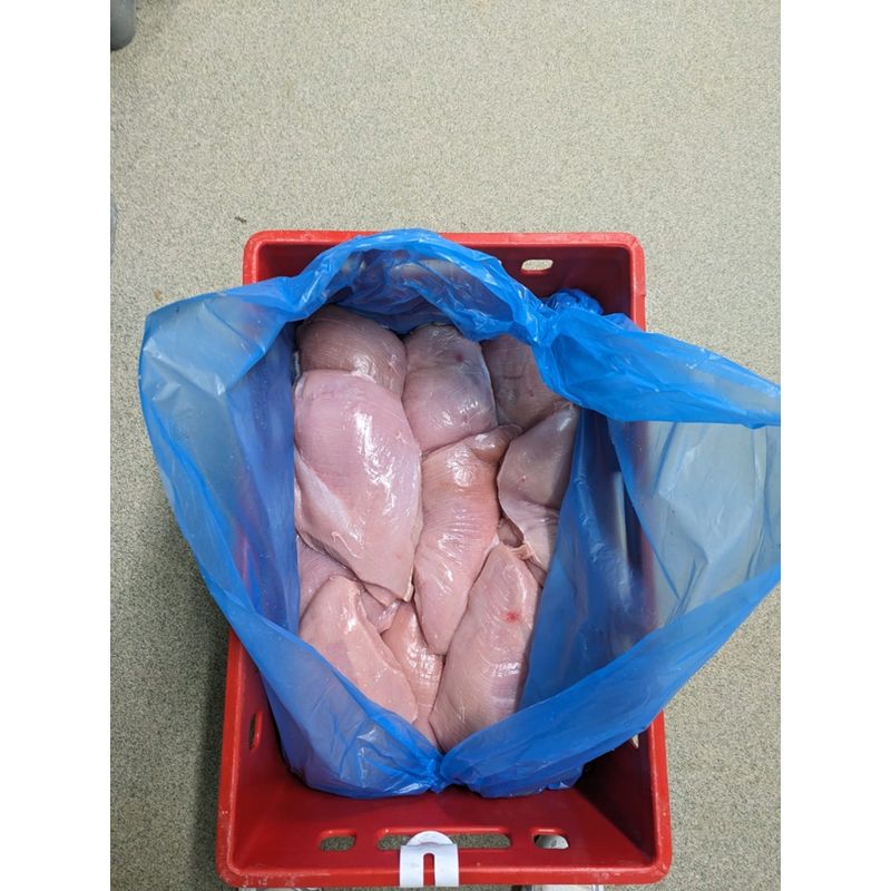 Freiländer Bio Geflügel Putenbrustfilet, frisch, lose in Folie, in E2 - Produktbild