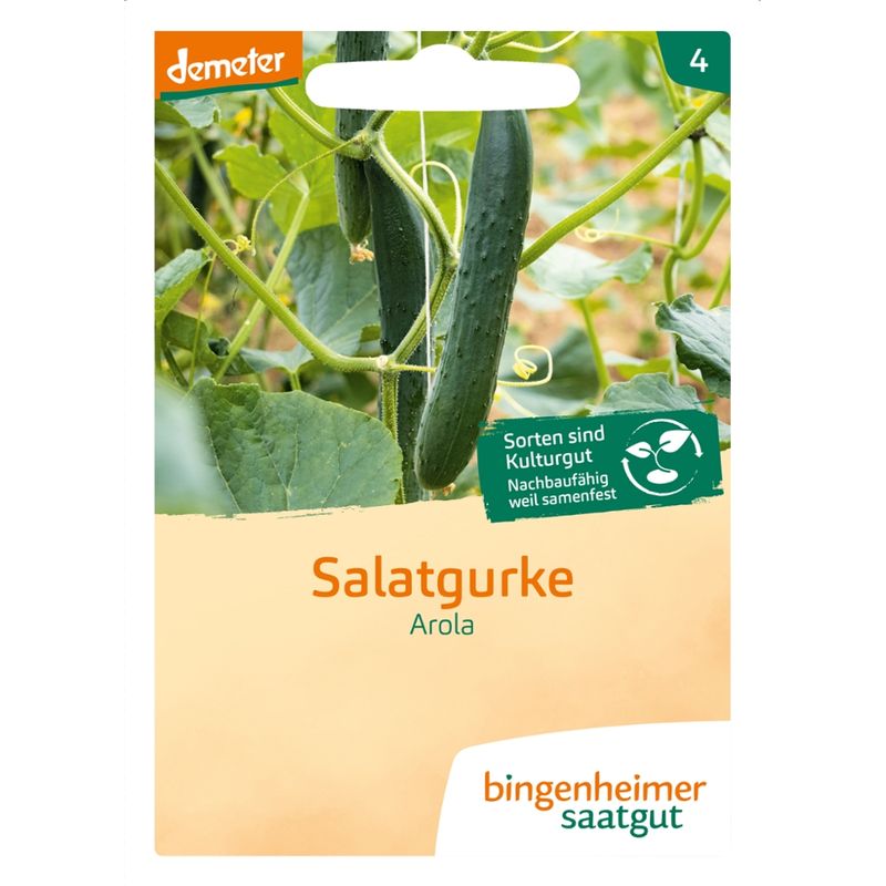 Bingenheimer Saatgut Arola - Salatgurke (Saatgut) - Produktbild
