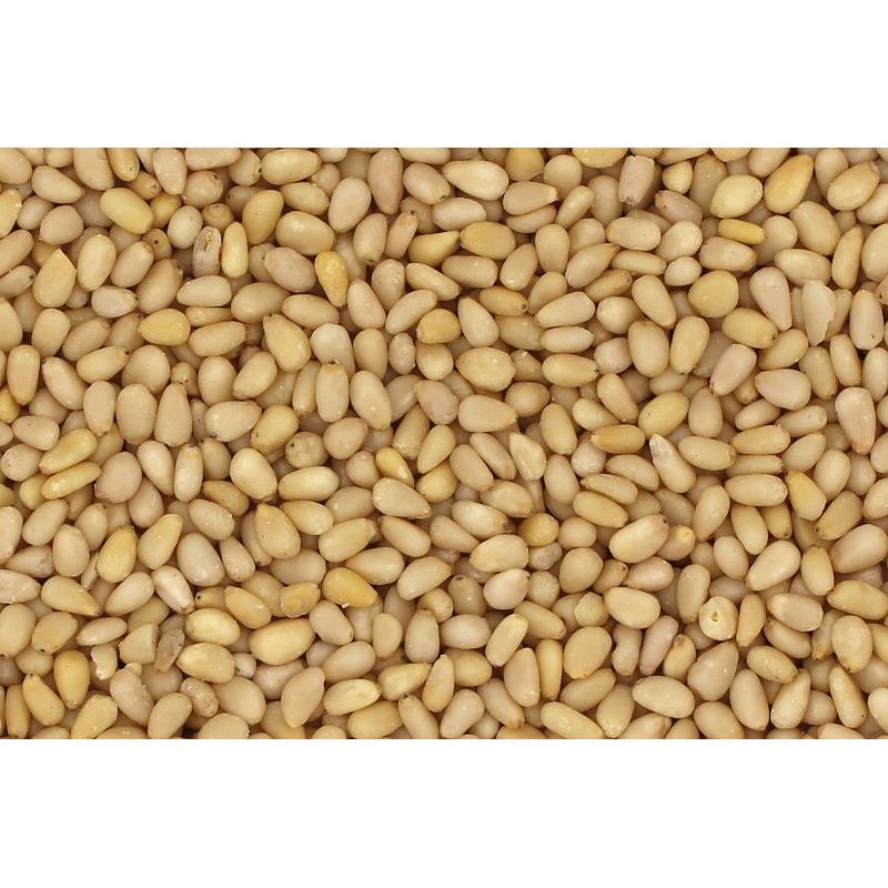 Bode Naturkost Pinienkerne bio 1kg - Produktbild