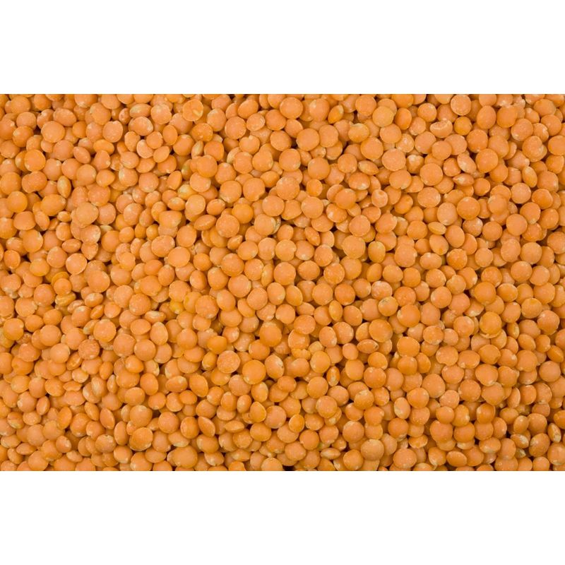 Bode Naturkost Linsen rot bio 5 kg - Produktbild