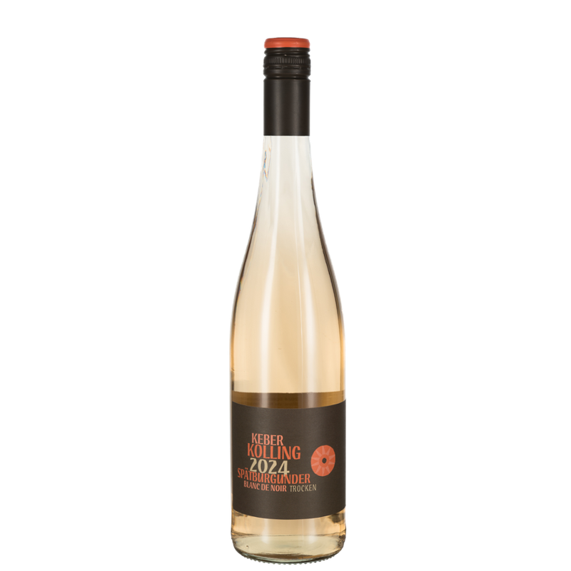 Weingut Keber Kolling 2024 Spätburgunder Blanc de Noir trocken Deutscher Qualitätswein g.U. Nahe - Produktbild