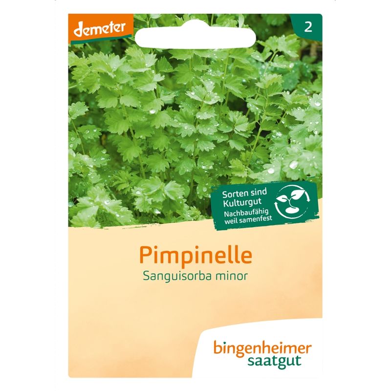 Bingenheimer Saatgut Pimpinelle - Kräuter (Saatgut) - Produktbild