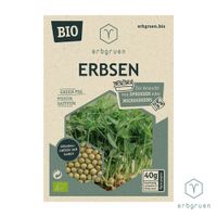 Erbse - BIO Microgreens/Sprossen Samen - Produktbild