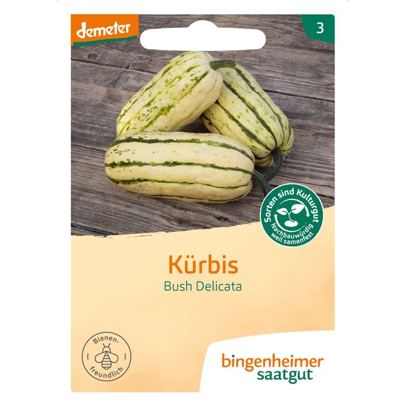 Bingenheimer Saatgut Bush Delicata - Kürbis (Saatgut) - Produktbild