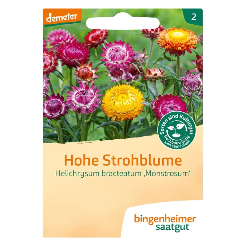 Bingenheimer Saatgut Hohe Strohblume - Blumen (Saatgut) - Produktbild