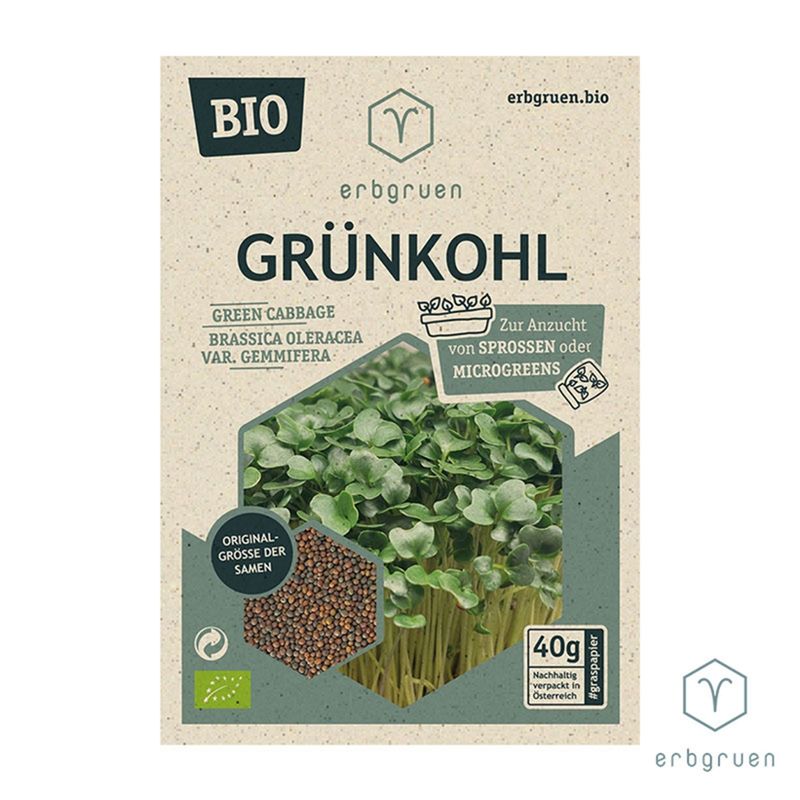 erbgruen Grünkohl - BIO Microgreens/Sprossen Samen, 40g - Produktbild