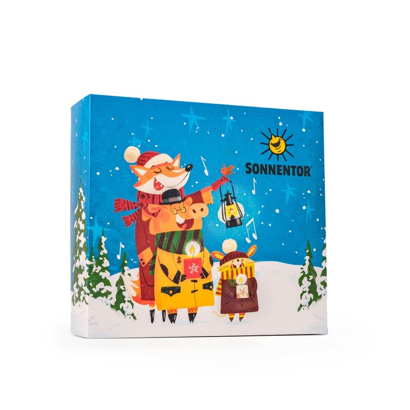 Sonnentor Geschenkkarton leer Weihnachten, M 31,5x28,5x9 cm - Produktbild