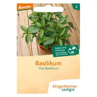 Thai-Basilikum - Produktbild