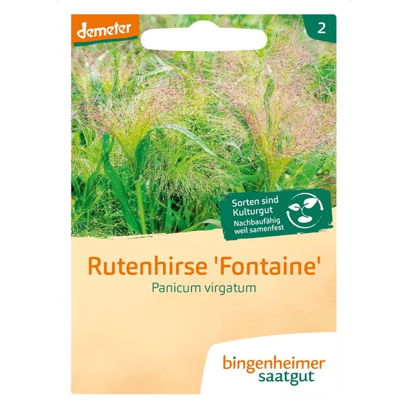 Bingenheimer Saatgut Rutenhirse Fontaine - Blumen (Saatgut) - Produktbild