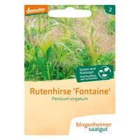 Rutenhirse Fontaine - Produktbild