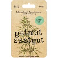Cannabissamen (3Stk) - Northern Lights (Auto) - Produktbild